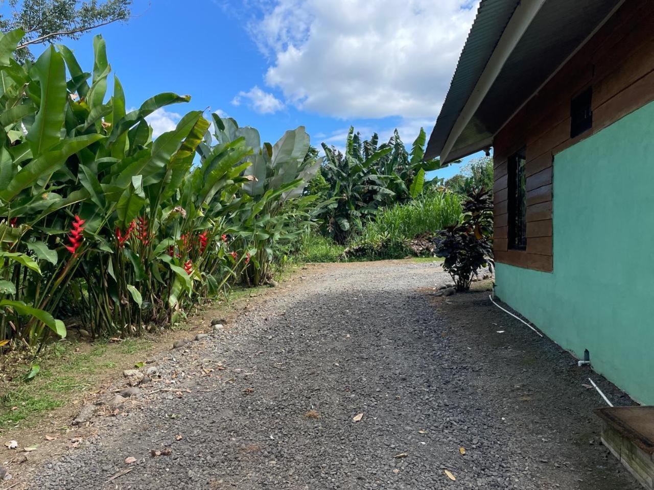Cabana Rural Ave Del Paraiso Ла Фортуна Экстерьер фото